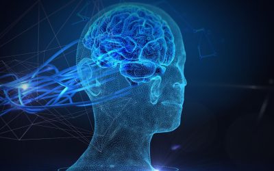 ChatGPT : L’intelligence artificielle qui pourrait rendre les chats de salon obsolètes ?
